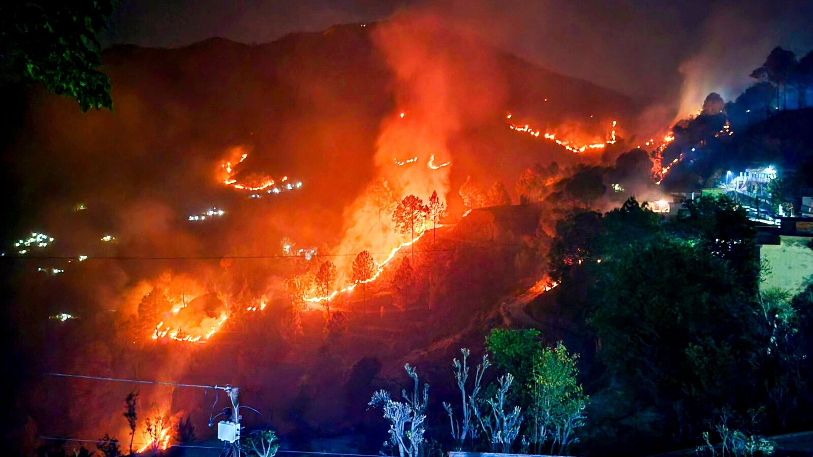 वनाग्नि रोकने की पहल तेज, सरकार ने ग्रामीणों से खरीदा 5532 टन पिरूल; लक्ष्य बढ़ाकर 8555 टन किया