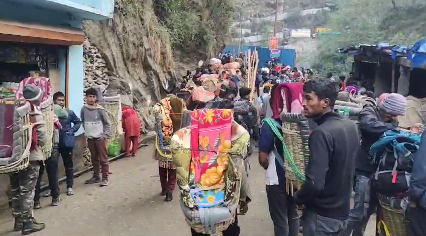 चारधाम पैदल मार्ग पर घोड़े-खच्चरों के लिए सख्त नियम लागू