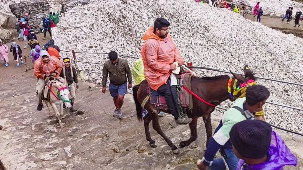 चारधाम यात्रा 2026: बिना फिटनेस और रजिस्ट्रेशन नहीं चलेंगे घोड़े-खच्चर, सरकार ने कसी कमर
