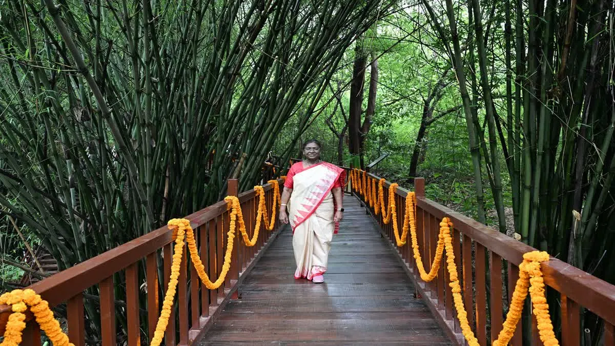 राष्ट्रपति द्रौपदी मुर्मू का ड्रीम प्रोजेक्ट ‘राष्ट्रपति उद्यान’ नवंबर तक होगा तैयार, देहरादून को मिलेगी नई पहचान