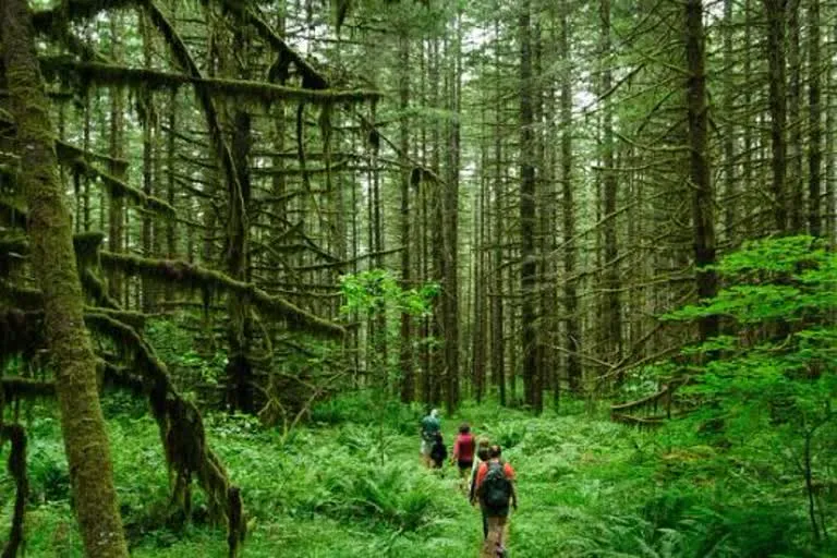 उत्तराखंड में इको टूरिज्म को मिली नई उड़ान, पर्यटकों की बढ़ती संख्या ने बनाए नए रिकॉर्ड