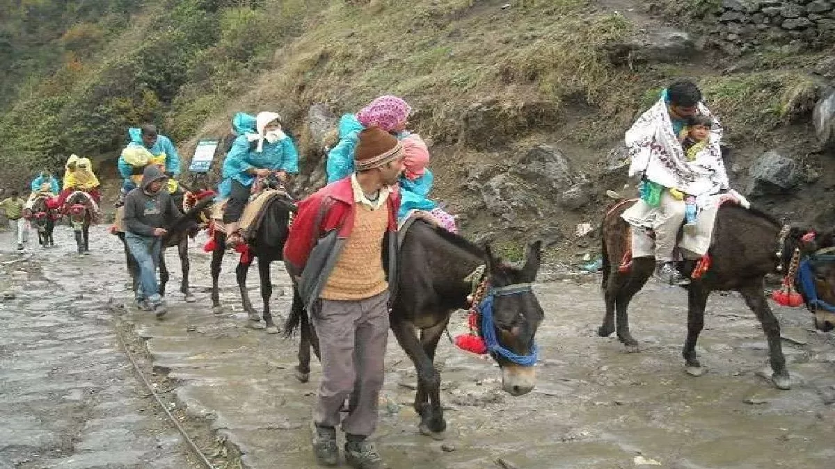 केदारनाथ यात्रा में लापरवाही बर्दाश्त नहीं, बिना पंजीकरण घोड़ा-खच्चर संचालन पर होगी सख्त कार्रवाई