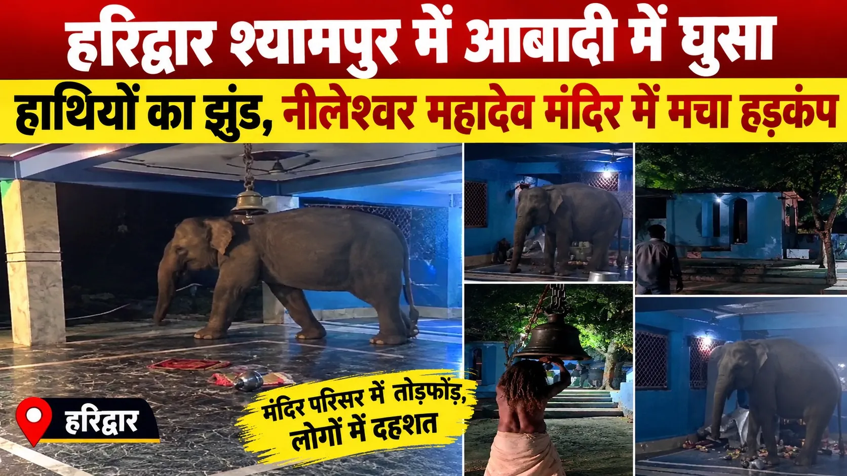 हरिद्वार श्यामपुर में आबादी में घुसा हाथियों का झुंड, नीलेश्वर महादेव मंदिर में मचा हड़कंप